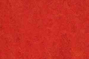 Линолеум Forbo Marmoleum Decibel on Order 313135 scarlet фото  | FLOORDEALER